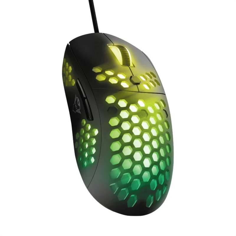 Miniatura 7