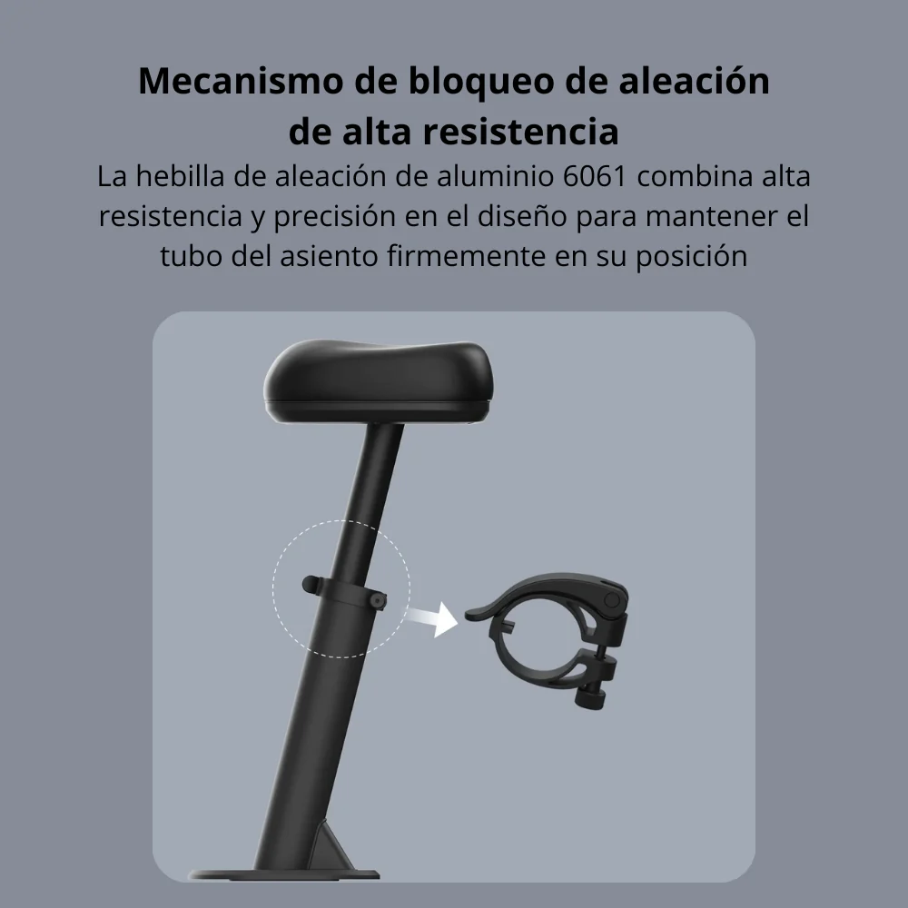 Miniatura 10