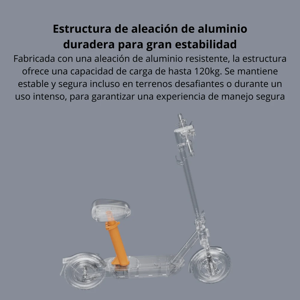 Miniatura 11