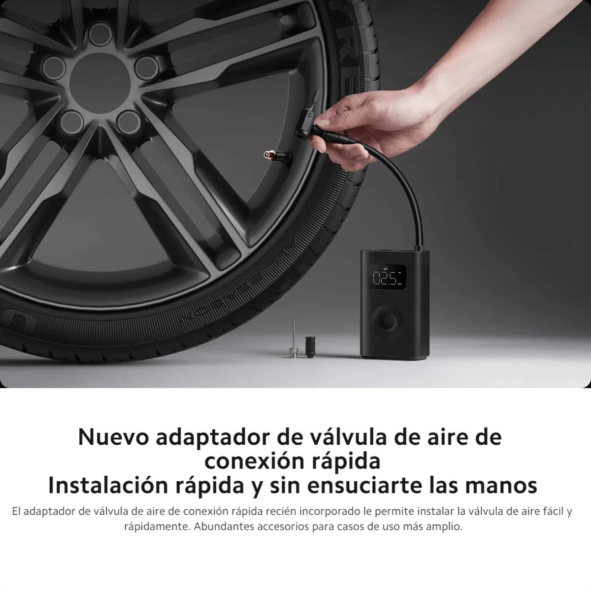 Miniatura 8